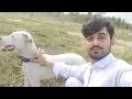 Cute dog angry  with me farhadkhanvlogs