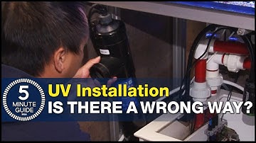 How to plumb a UV Sterilizer, set the right flow rate and avoid UV mistakes.