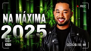 Toque Dez Vaquejada 2025 Músicas Novas Atualizadas Milsinho Toque Dez 2025