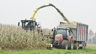 Mais Silage | John Deere 7780i + Kemper 475 | Team Basso