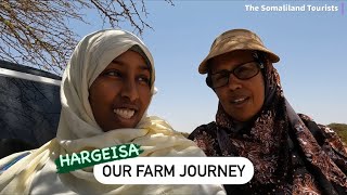 FARM WORK | SESAME OIL HARVEST and Potatoes 🥔 Our Farm Journey in Hargeisa SOMAILAND 2023