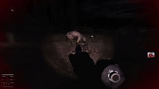 S.T.A.L.K.E.R Anomaly GAMMA: Truck Cemetery at night