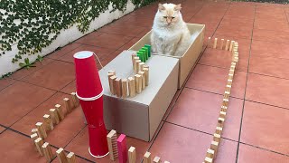 Cat and Dominoes