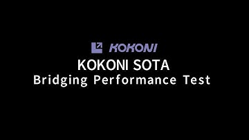 KOKONI SOTA | Bridging Test | Upside-down Printing