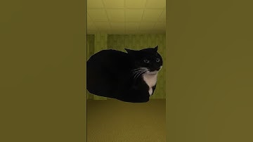 Maxwell Cat Nextbot | Garry’s Mod