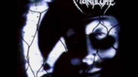 Manticore-Raining Blood (Slayer Cover)