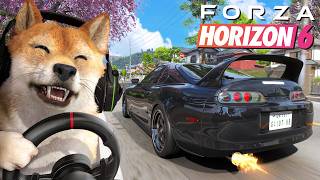 1000 PS SUPRA & GT-R IN FORZA HORIZON 6!