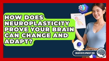 How Does Neuroplasticity Prove Your Brain Can Change And Adapt? - Brain Development Hub