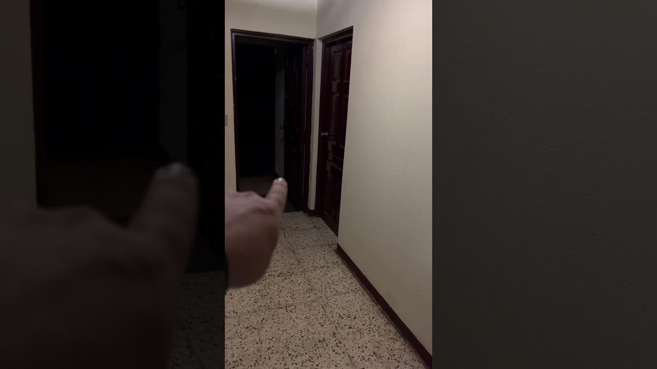 Why Is There a Frog In My House