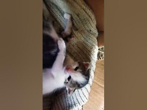 красивые мордашки - YouTube