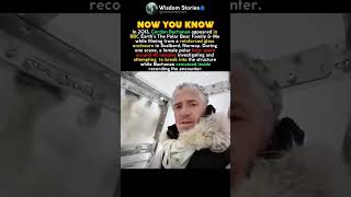 Inside The Ice Pod