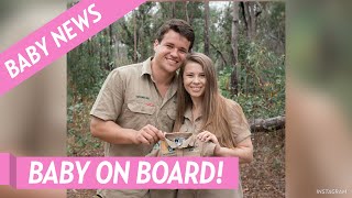 Bindi Irwin and Chandler Powell Are Expecting Their 1st Child