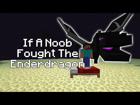 ENDER DRAGON VS SKELETON FRIEND - Minecraft Mob Battles 