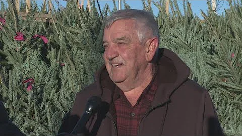 Christmas tree farm owner never wanted to run the business