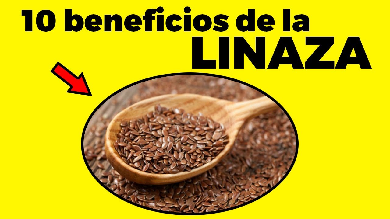 Para qué sirve la linaza 10 beneficios que no conocías y cómo consumirla YouTube Para qué sirve la linaza 10 beneficios que no conocías y cómo consumirla YouTube