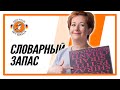 Словарный запас. Мифы и реальность | Deutsch A1 A2 B1 | Deutsch Mit Marija по-русски