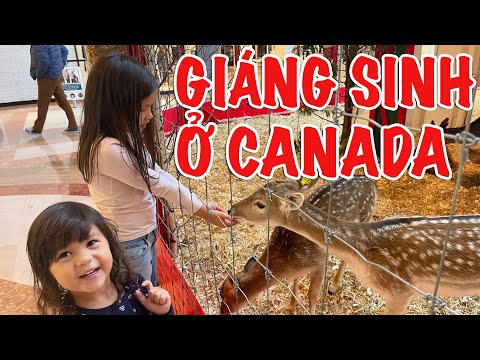 Video: Montreal Biodome là một điểm thu hút hàng đầu của thành phố cho các gia đình