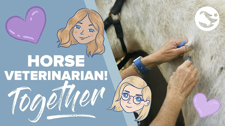 Equine Veterinarian  | TOGETHER by Star Stable | E...