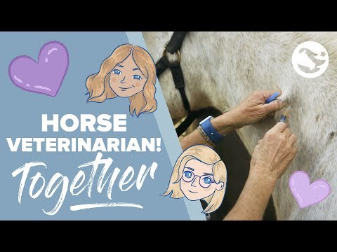 Equine Veterinarian 💕💉🐴 | TOGETHER by Star Stable | Episode 2