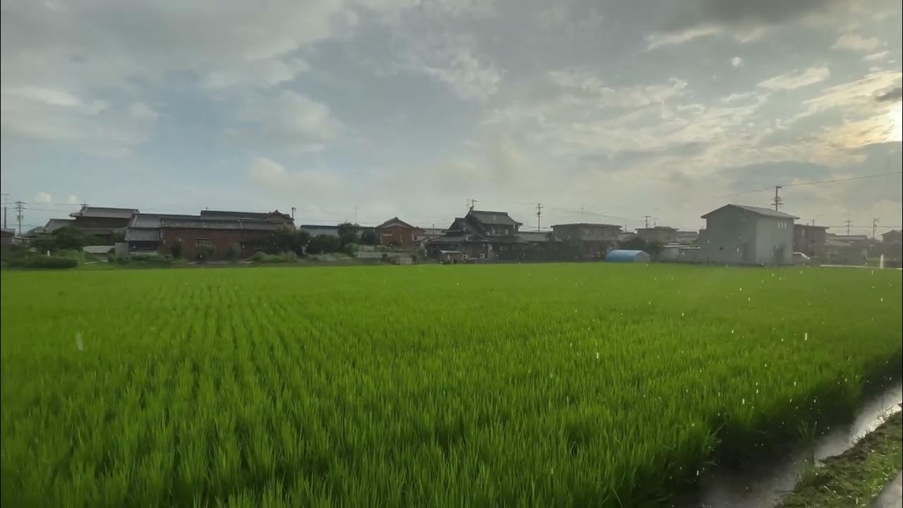 三重県 雨 YouTube