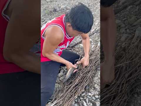 Trapped inside these tree branches🔥#top #fishing #shorts #indonesia