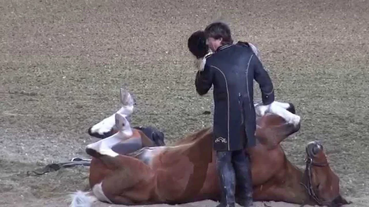 Funniest Horse Act Ever! Tommie Turvey and Pokerjoe! - Night of the Horse 2015 - #DMNHS - DayDayNews
