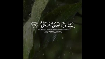 قرآن كريم بصوت القارئ فارس عباد تلاوة مطمئن ارح قلبك 💚🌿حالة واتس إسلامية /استوري انستغرام