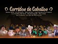 Corridos De Caballos - Ramon Ayala, Cadetes, Invasores y mas!