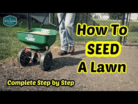 How To Seed a Lawn - Complete Step By Step Guide