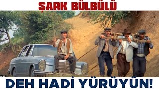 Şark Bülbülü Türk Filmi Şaban, Zülfo Ağayı Çifte Sürüyor