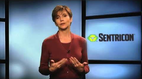 The Sentricon® System: Termite Damage, Behavior and Biology