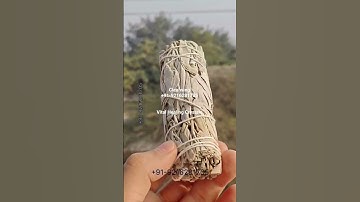 california white sage & abalone shell #cleansing #protection #vitalhealingcrystals