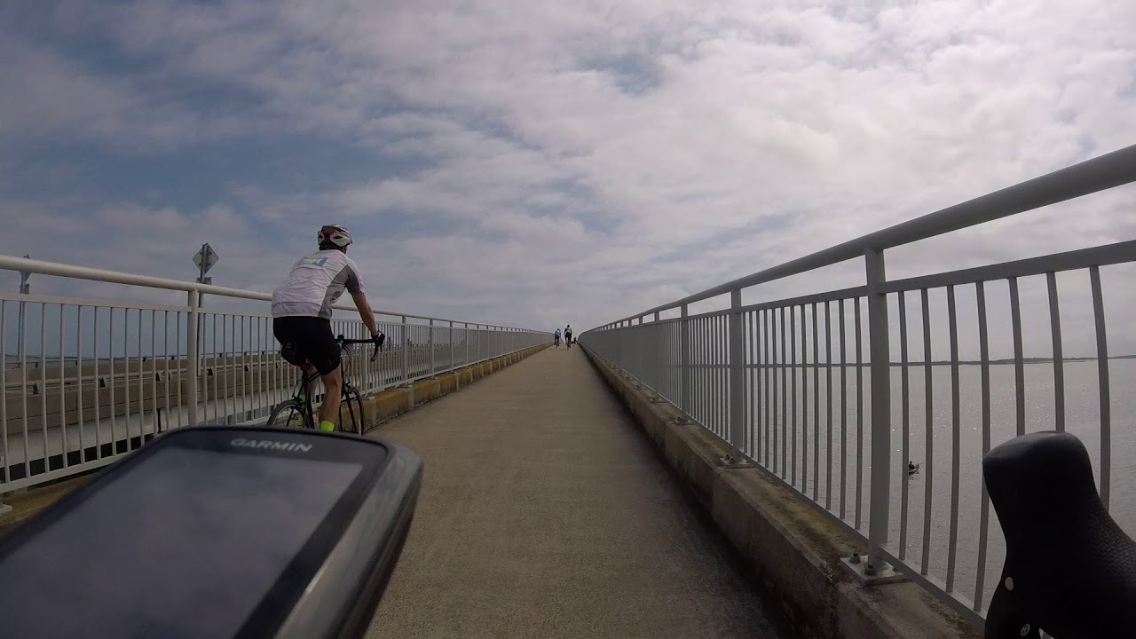 seagull century 2020