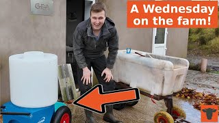 HOW do we manage our CALVES?  |  IS this the quickest way to FEED cows?  |  Milk Kart UPGRADE!