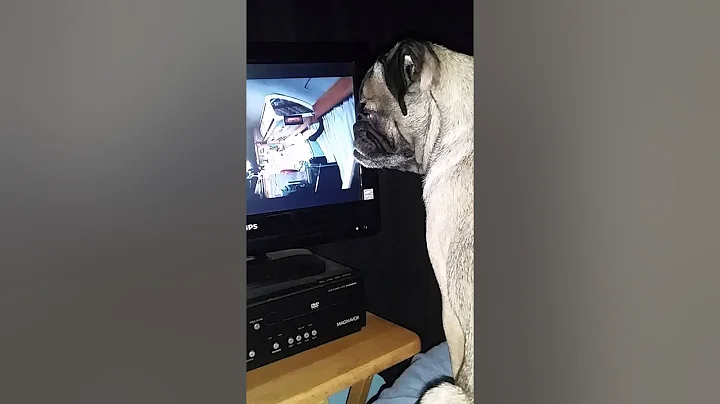 Bacara Rose watching a movie with me.