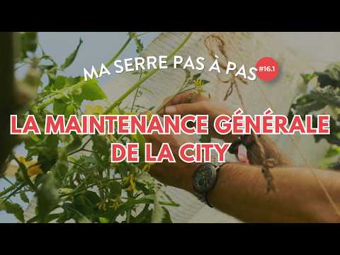 La maintenance de la serre City