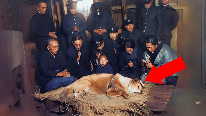 The Story of Hachiko, Japan's Most Loyal Dog!