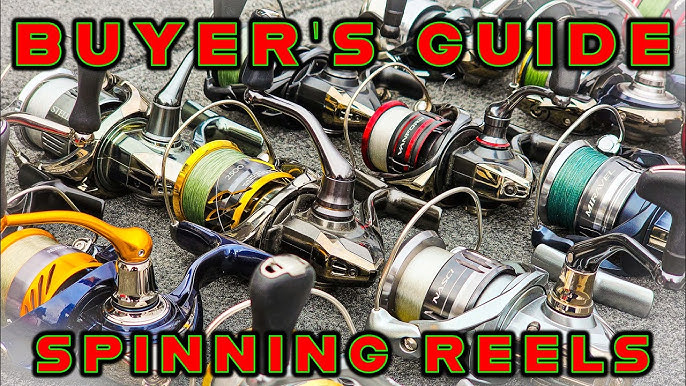 The Top 5 Spinning Reels Under $100! 2024 Buying Guide 