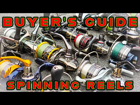 BUYER'S GUIDE: BEST SPINNING REELS (Budget To Enthusiast