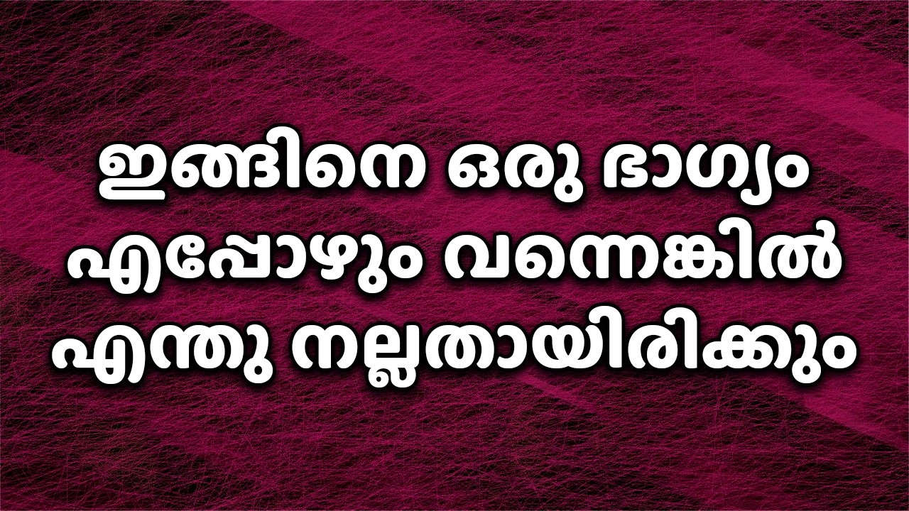 ഇങ്ങിനെ ഒരു ഭാഗ്യം എപ്പോഴും വന്നെങ്കിൽ എന്തു നല്ലതായിരിക്കും