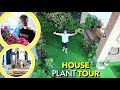 Full HOUSE Plant TOUR!🏡🇵🇭