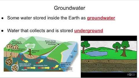 LT 38: The Water Cycle (Collins) - Google Slides