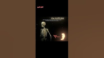 سورة المؤمنون الآيات ١٢-١٤/surah al mu'minun Vers 12-14