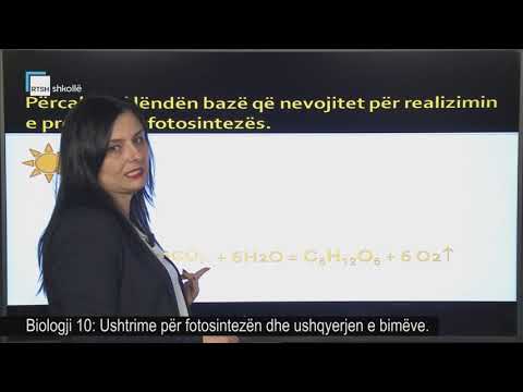 Video: A nevojitet klorofili për fotosintezën?