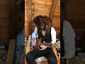 Electric Guitar Composition in A major #guitar #guitarsolo #heavymetal #guitarist #neoclassical