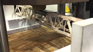 Engineering Balsa Wood Bridge Collapse screenshot 1