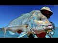 SNAPPER LAND | New Rods Put To The Test