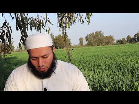 الأرز في المنام للشيخ أحمد عبد الحافظ