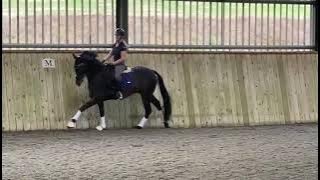 Advert reference - 347221