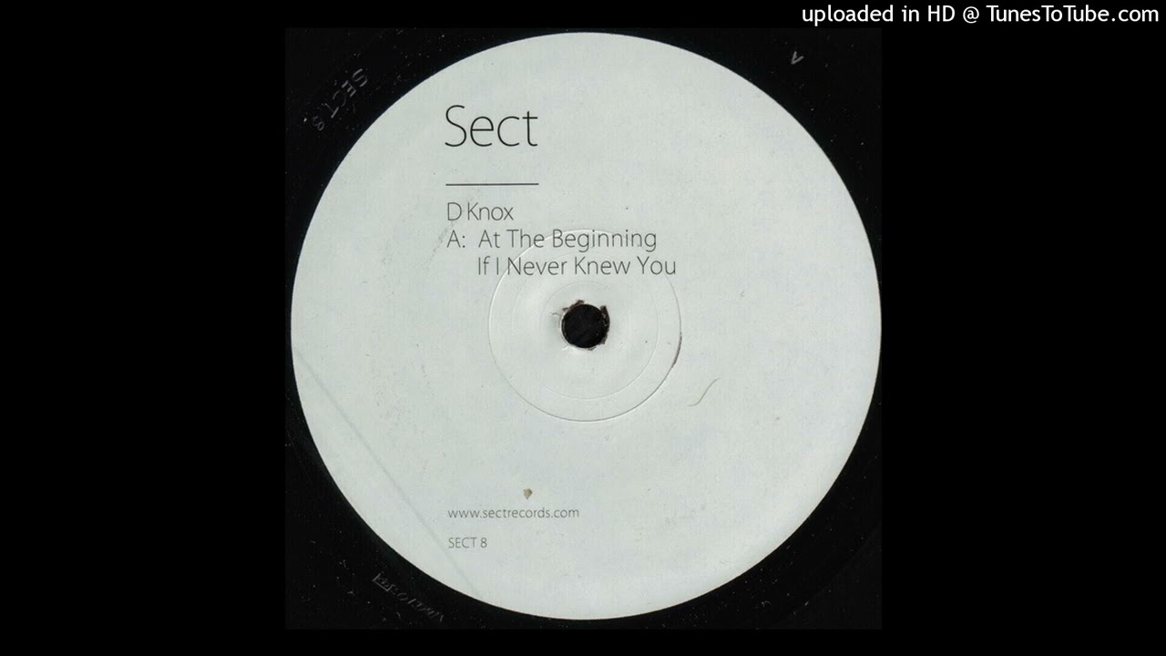 D Knox - At the Beginning